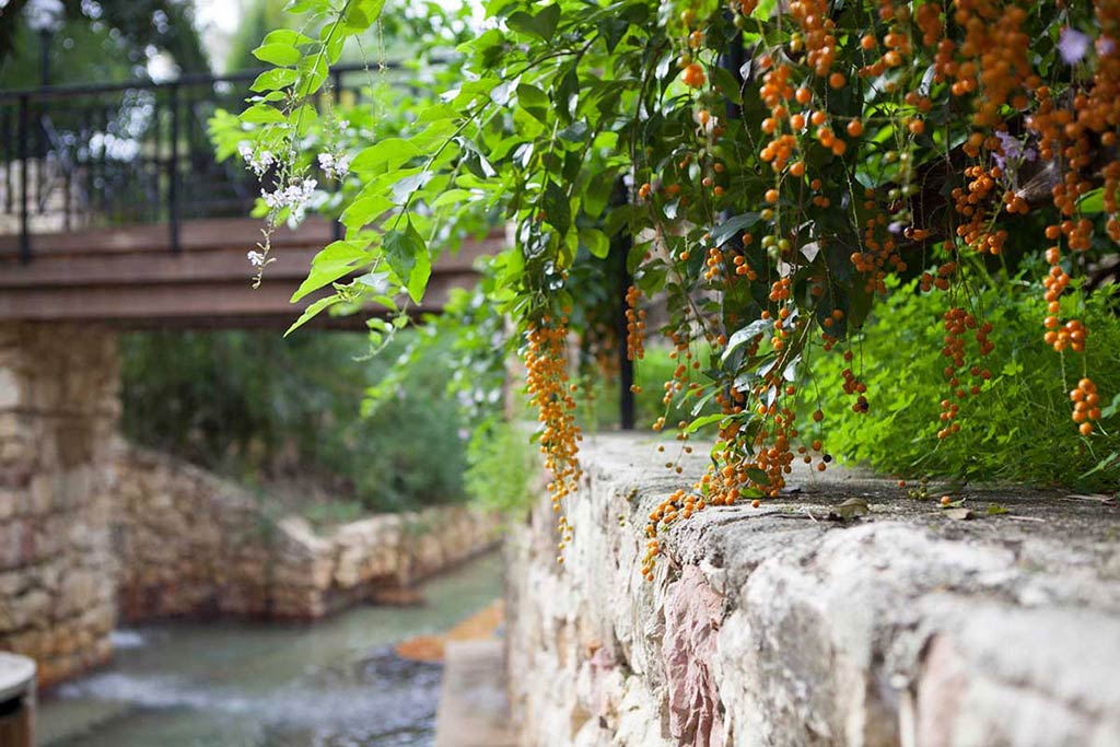 TERME ACQUA PIA